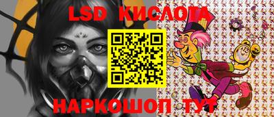 гидропоника Кингисепп