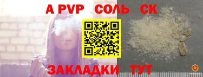 спиды Кимры