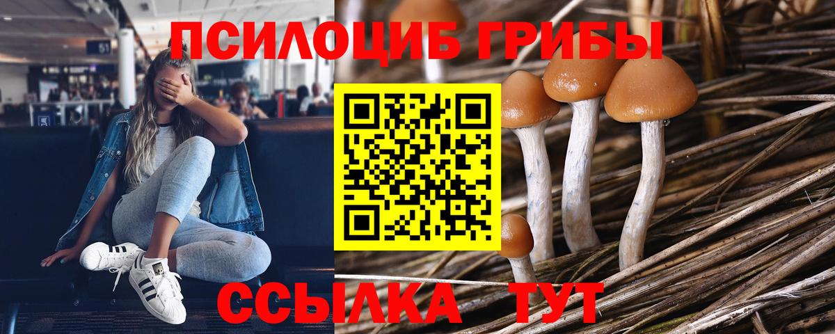 Псилоцибиновые грибы GOLDEN TEACHER  Вход с VPN  Балашов 